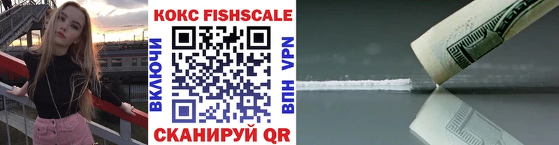 COCAIN Fish Scale  площадка наркотические препараты  Красновишерск  купить наркотики сайты 