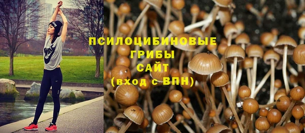 хмурый Абинск