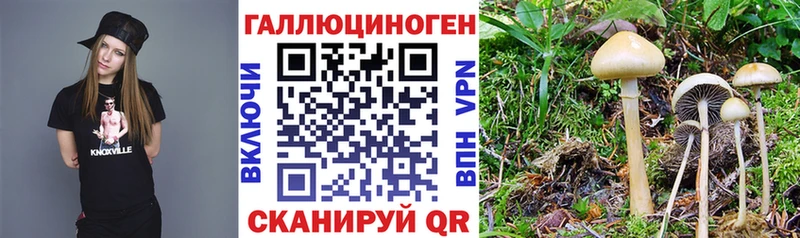 ссылка на мегу рабочий сайт Красновишерск Псилоцибиновые грибы мицелий